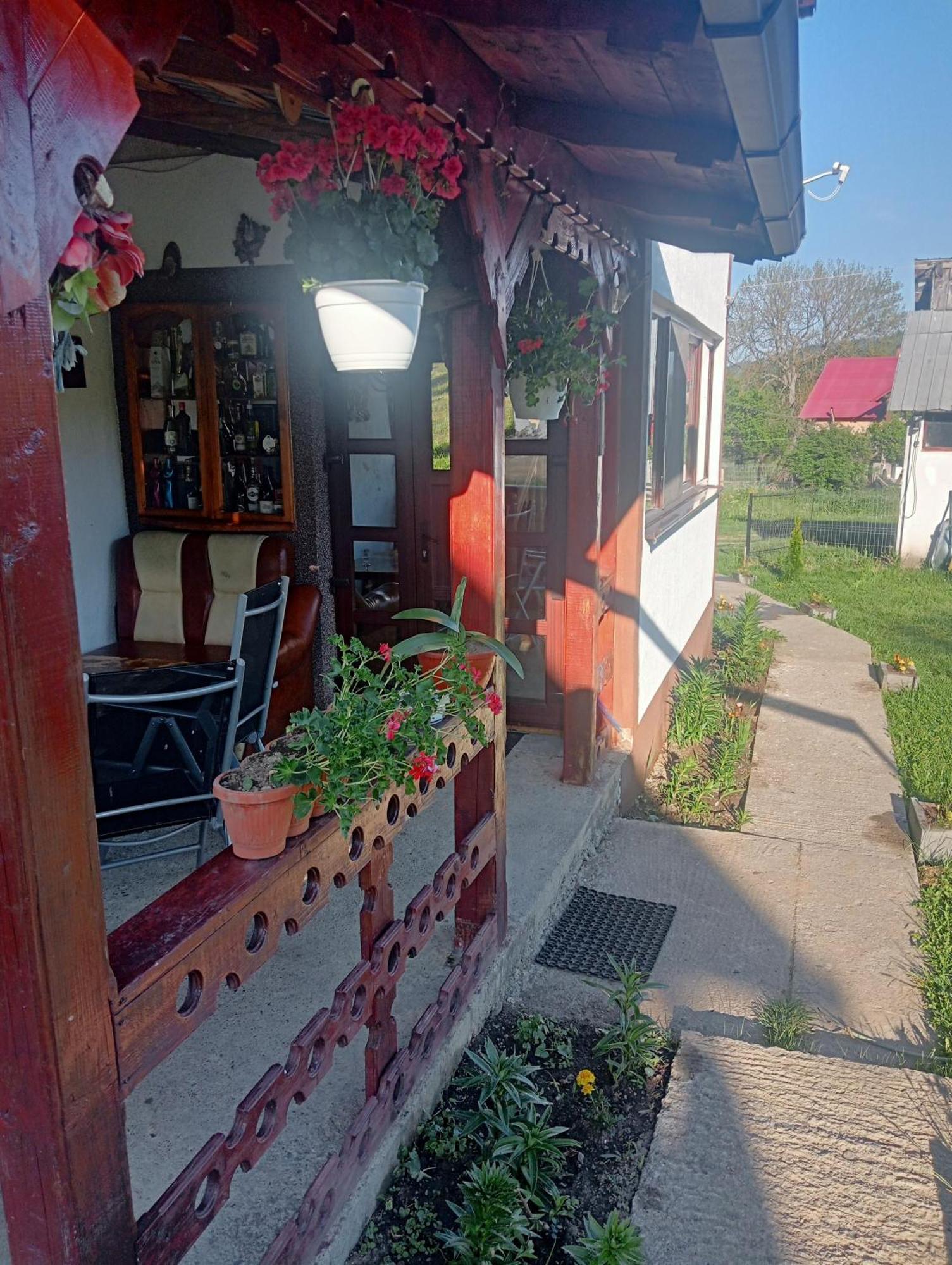 Casa Vasy Guest House วาตราดอร์เนย์ ภายนอก รูปภาพ